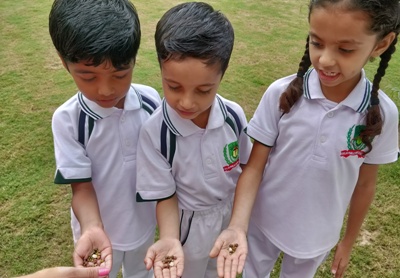 GERMINATION OF A SEED II