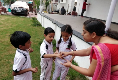 GERMINATION OF A SEED II