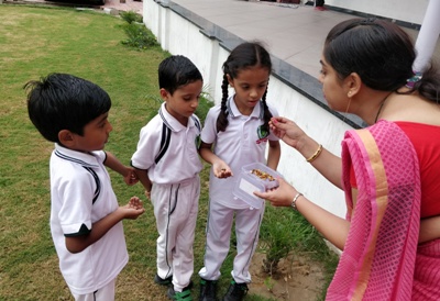 GERMINATION OF A SEED II