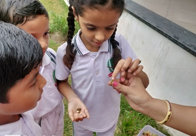 GERMINATION OF A SEED II