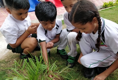 GERMINATION OF A SEED II