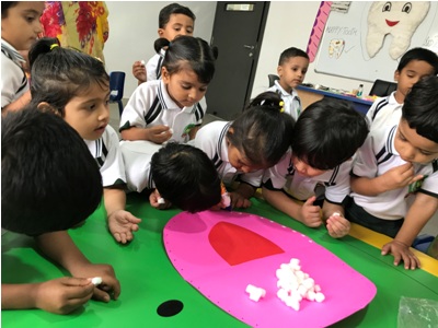PRE PRIMARY  DENTAL CHECK UP