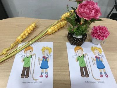 PREP TALL AND SHORT ACTIVITY